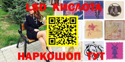 спиды Новодвинск
