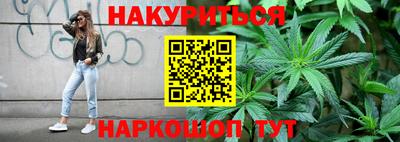 спиды Новодвинск