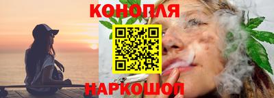 спиды Новодвинск