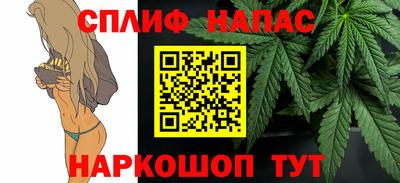 спиды Новодвинск