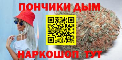 спиды Новодвинск